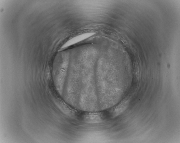 X0000075380758200609291551