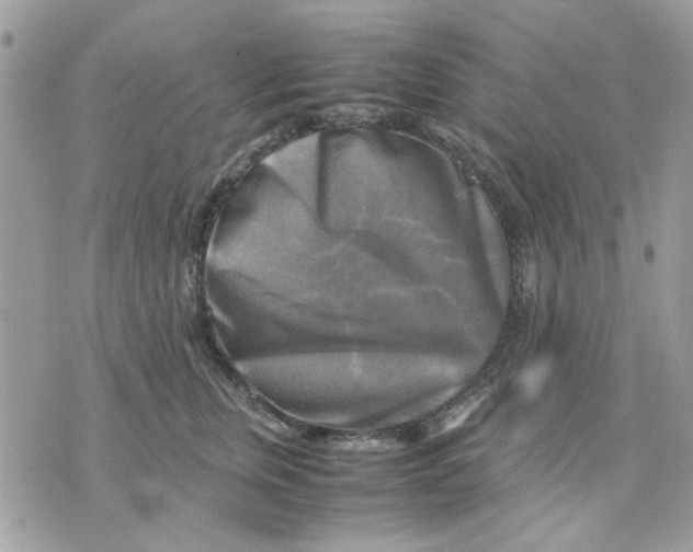 X0000075380759200609291551