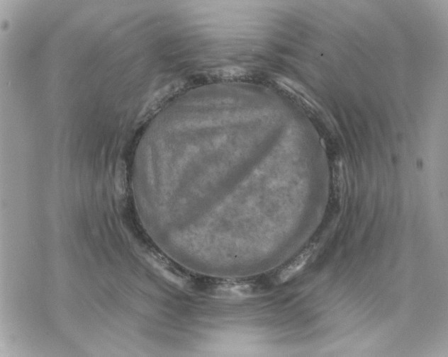 X0000075380760200609291551