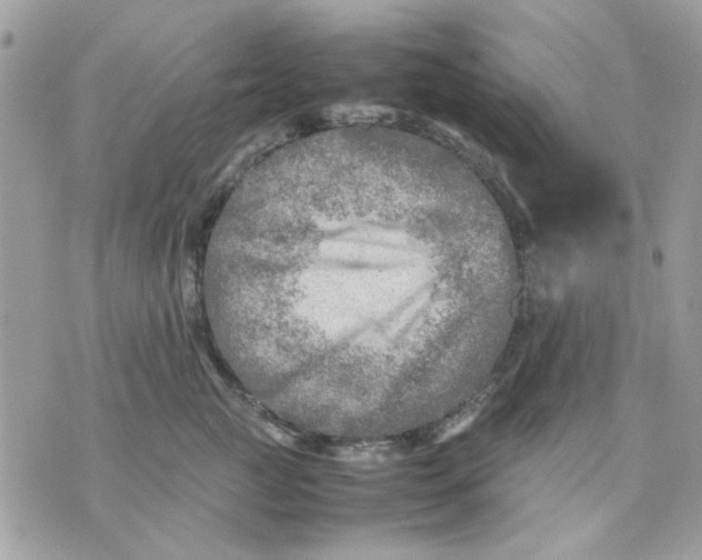 X0000075380761200609291551