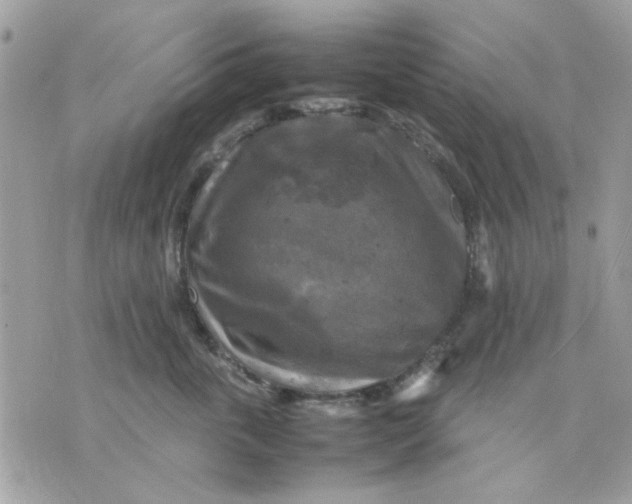 X0000075380763200609291551