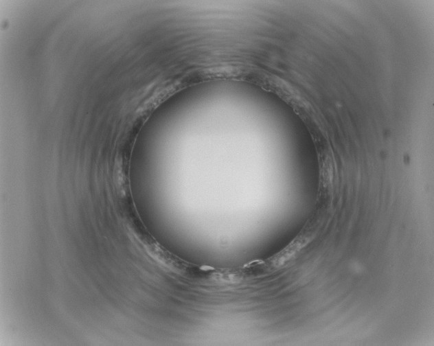 X0000075380764200609291551