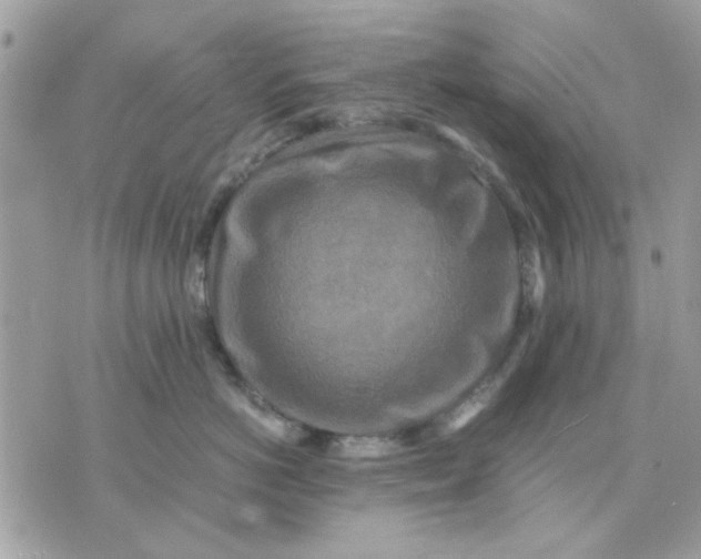 X0000075380766200609291551