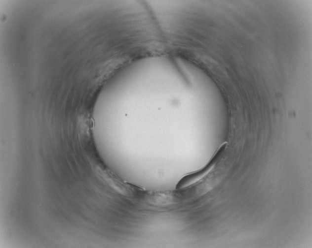 X0000075380768200609291551