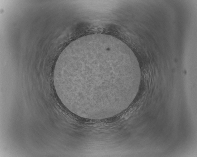 X0000075380769200609291550