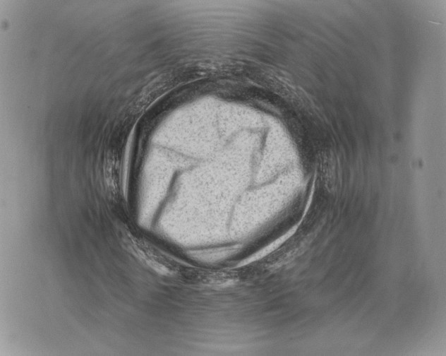 X0000075380770200609291550