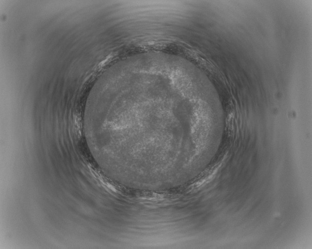 X0000075380772200609291550