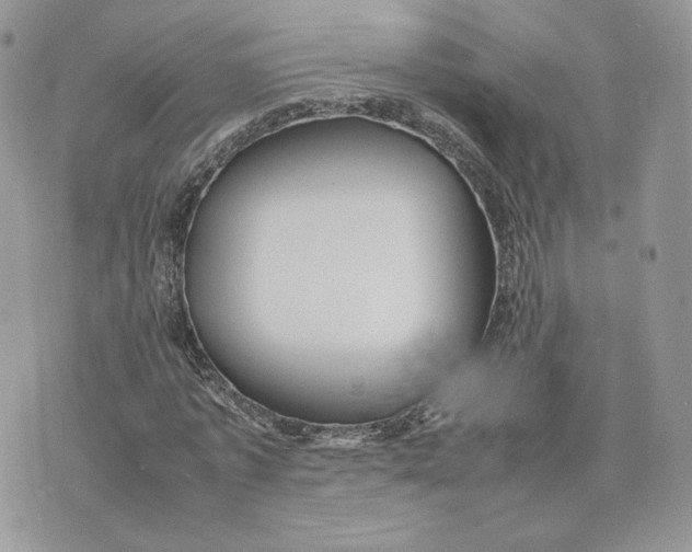 X0000075380773200609291550