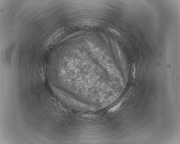 X0000075380774200609291550