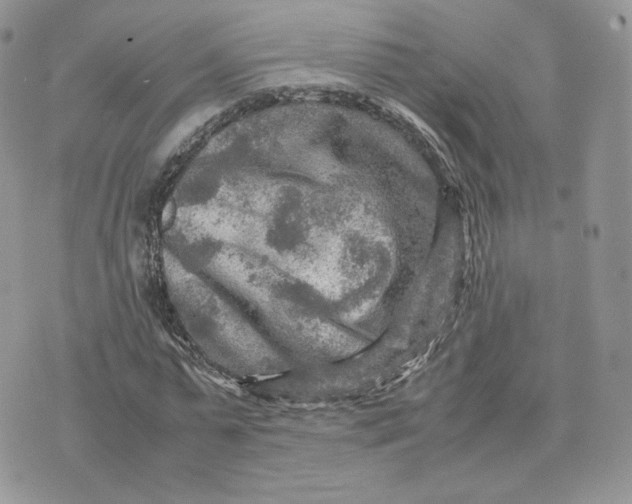 X0000075380775200609291550