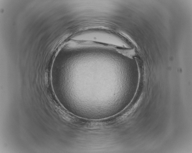 X0000075380777200609291550