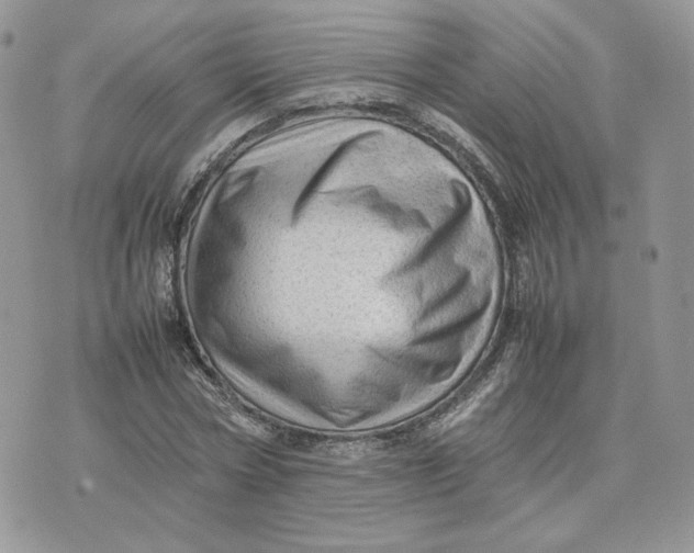 X0000075380778200609291550