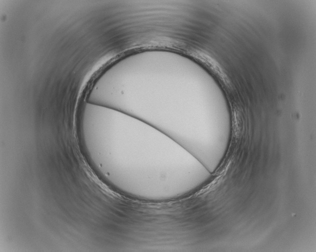 X0000075380780200609291550