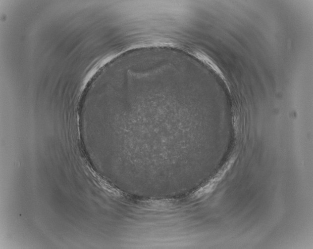 X0000075380781200609291550