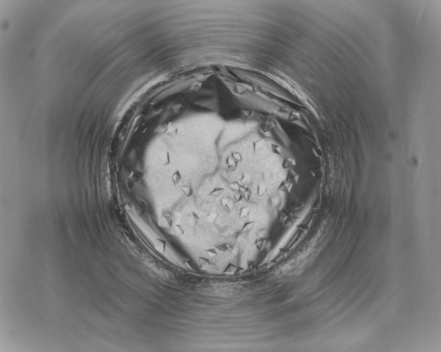 X0000075380782200609291550