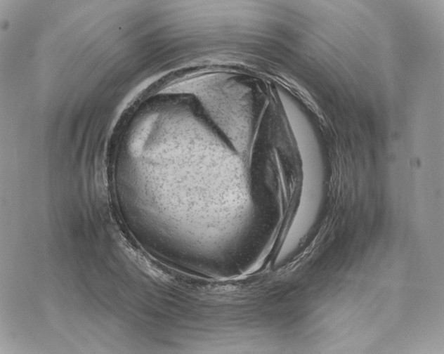 X0000075380784200609291550