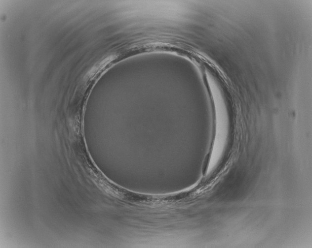 X0000075380785200609291550