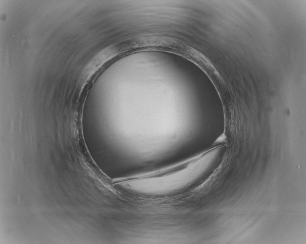 X0000075380786200609291550