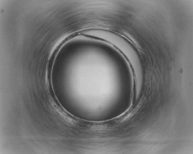 X0000075380788200609291550