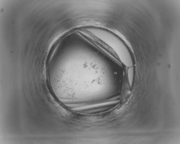 X0000075380791200609291550