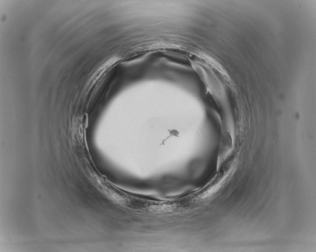 X0000075380793200609291550