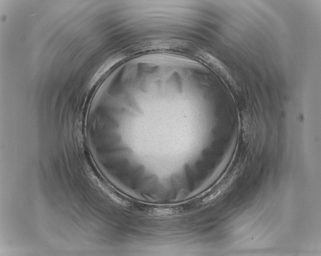 X0000075380794200609291550