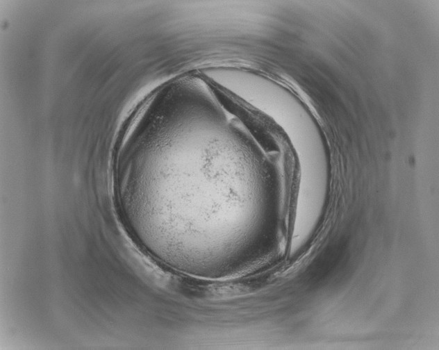 X0000075380795200609291550