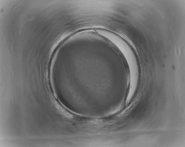 X0000075380797200609291550