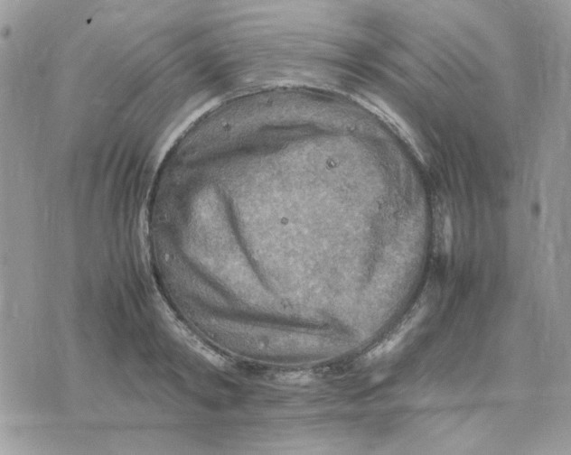 X0000075380798200609291550