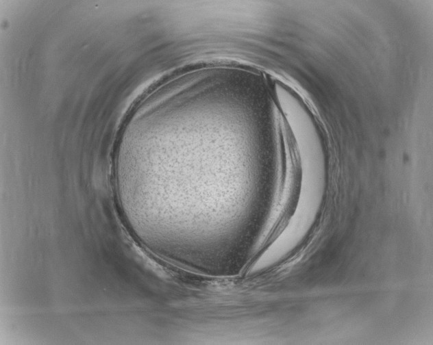 X0000075380799200609291550