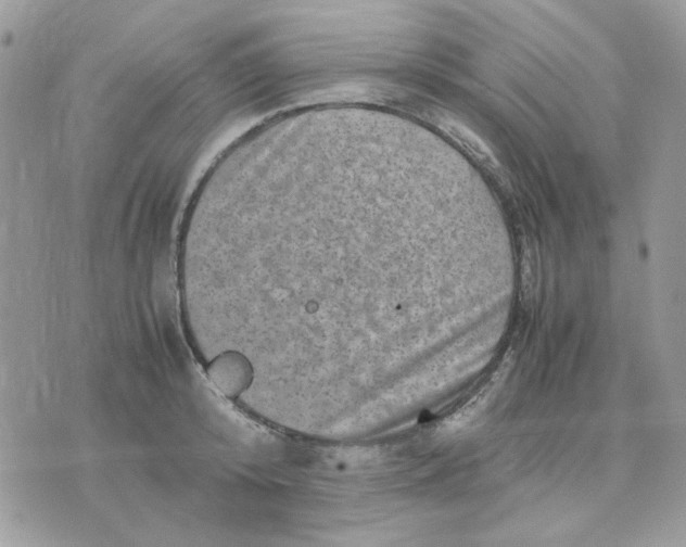 X0000075380800200609291550