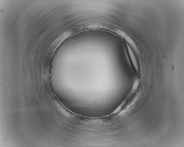 X0000075380801200609291549