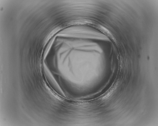 X0000075380802200609291549