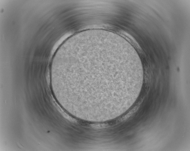 X0000075380804200609291549