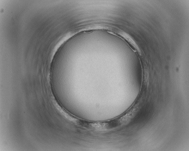 X0000075380805200609291549