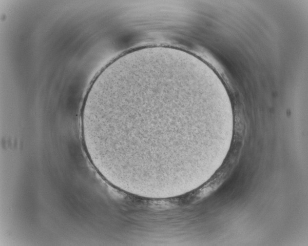 X0000075380807200609291549