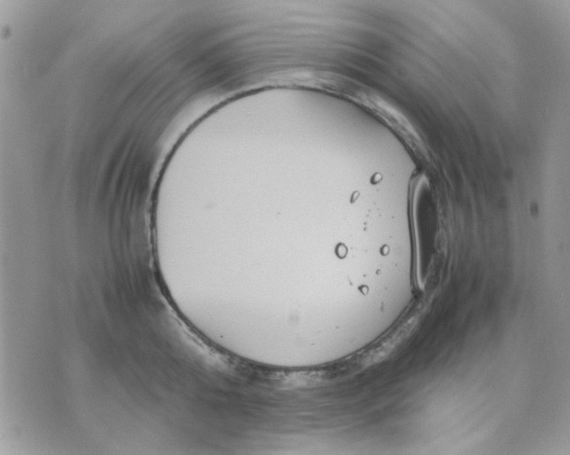 X0000075380808200609291549