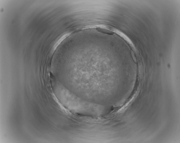 X0000075380809200609291549