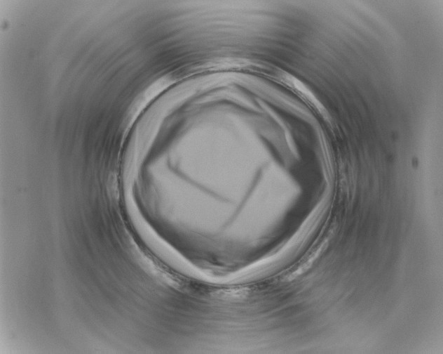 X0000075380810200609291549