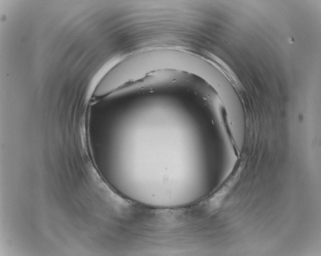 X0000075380812200609291549