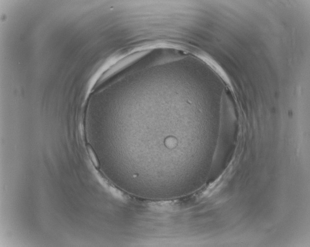 X0000075380813200609291549