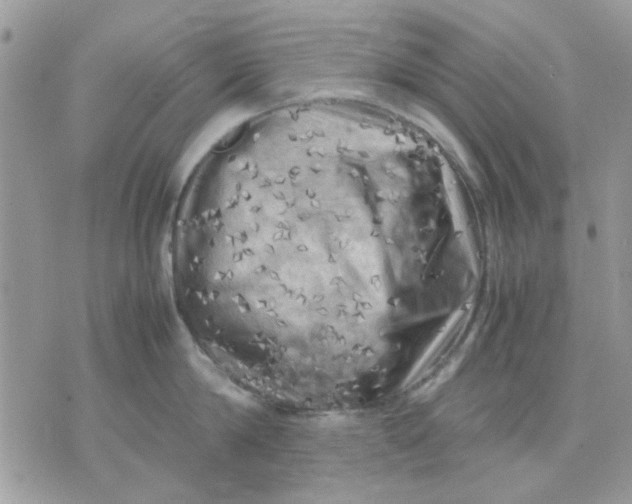 X0000075380814200609291549