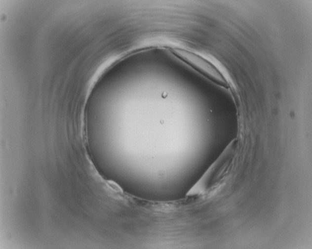 X0000075380815200609291549