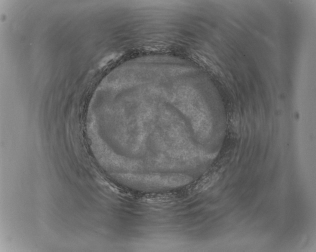 X0000075380817200609291548