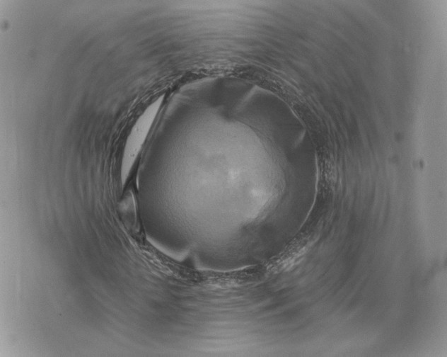 X0000075380818200609291548