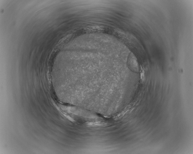 X0000075380819200609291548