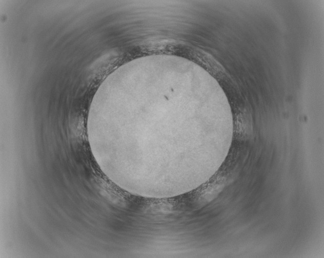 X0000075380820200609291548