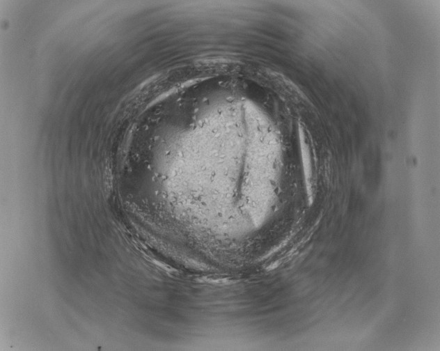 X0000075380821200609291548