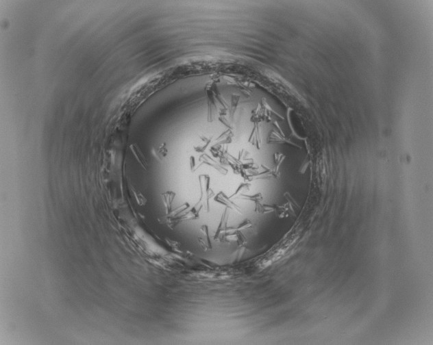 X0000075380822200609291548