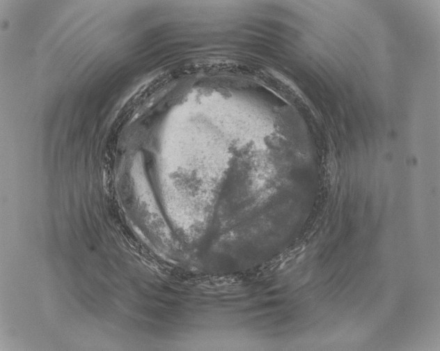 X0000075380823200609291548